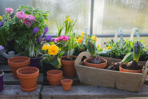 Kies voor gifvrije planten en bloemenmengsels