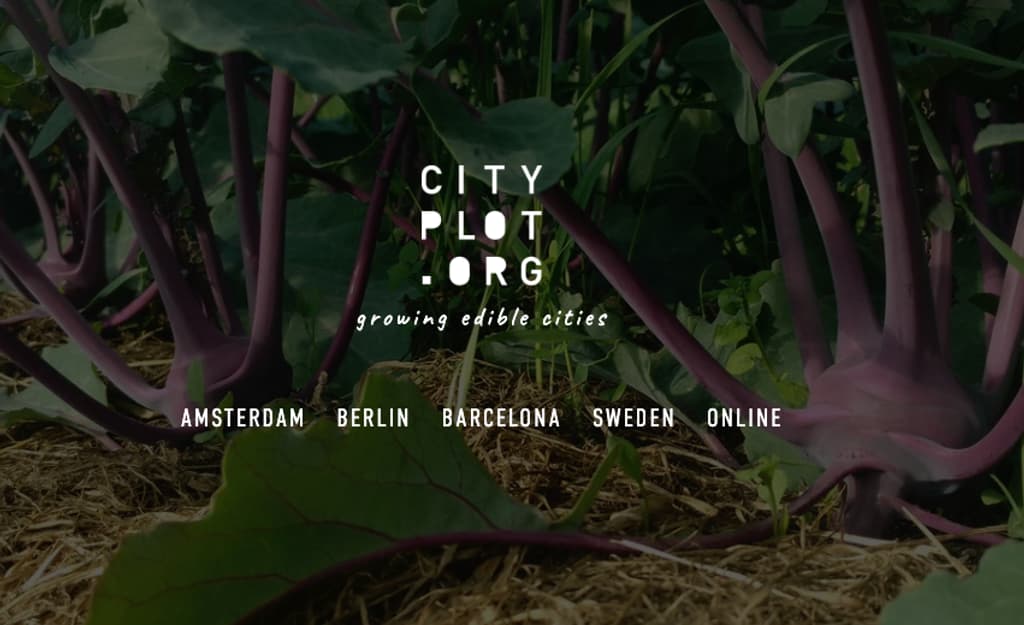Cityplot