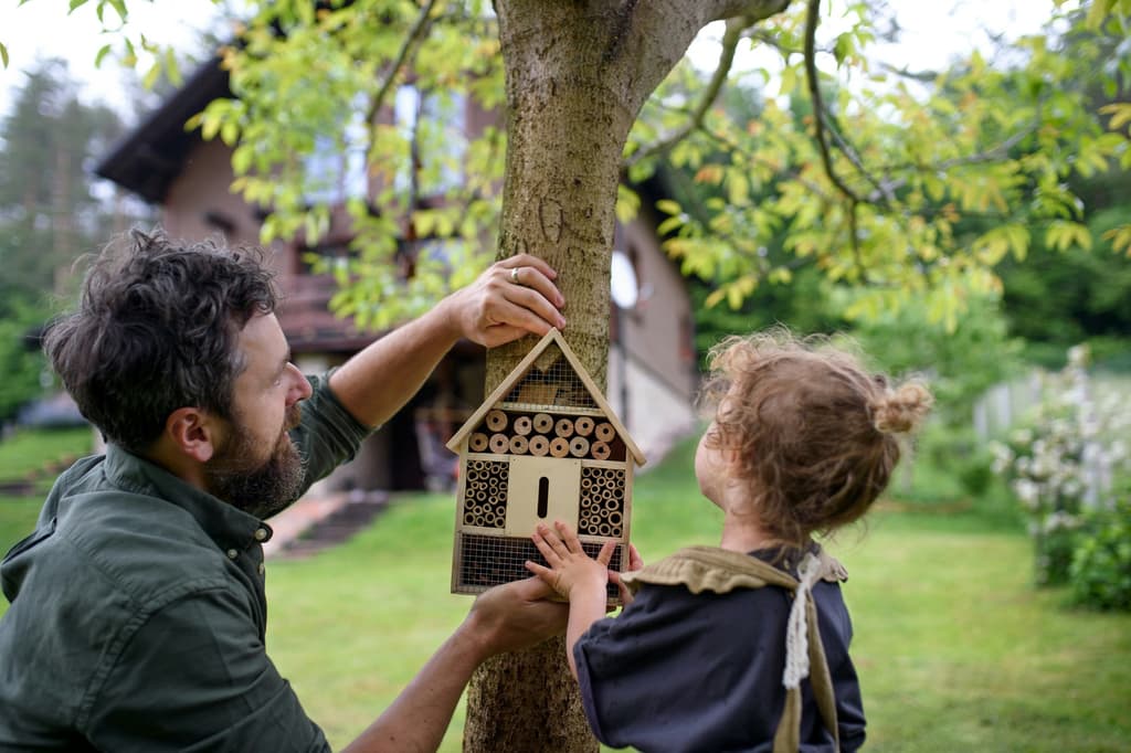Hang een insectenhotel in je tuin