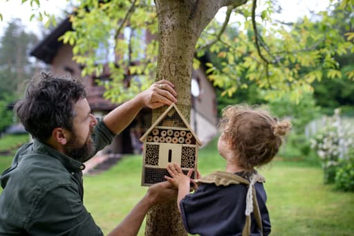 Hang een insectenhotel in je tuin