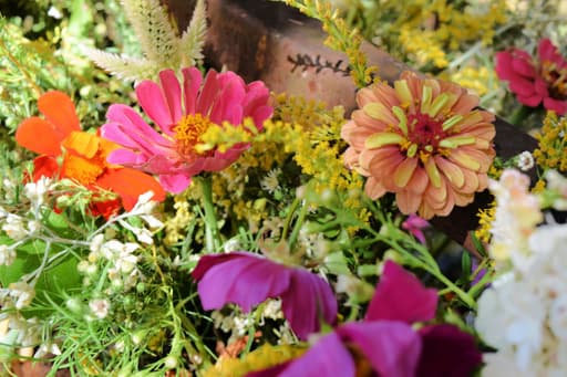 Noorderbloemen
