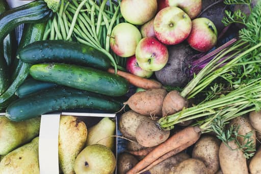 Foodcoop Noord