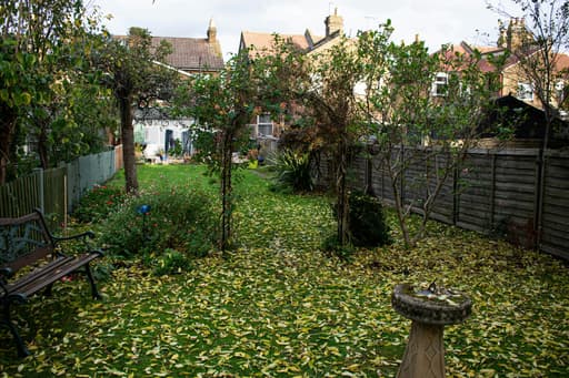 Laat je tuin met rust in het najaar